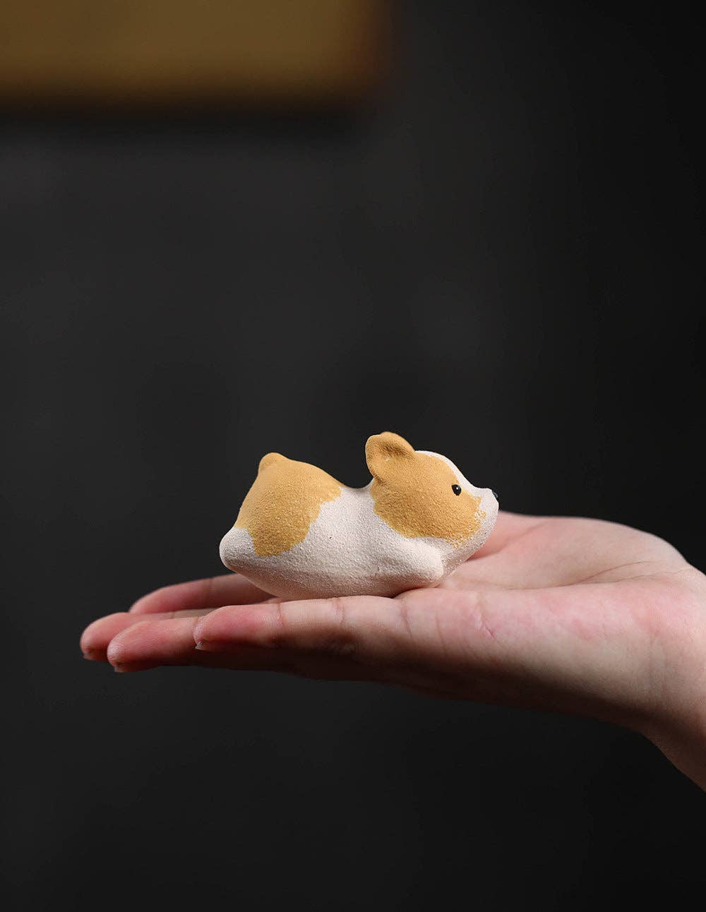 Corgi