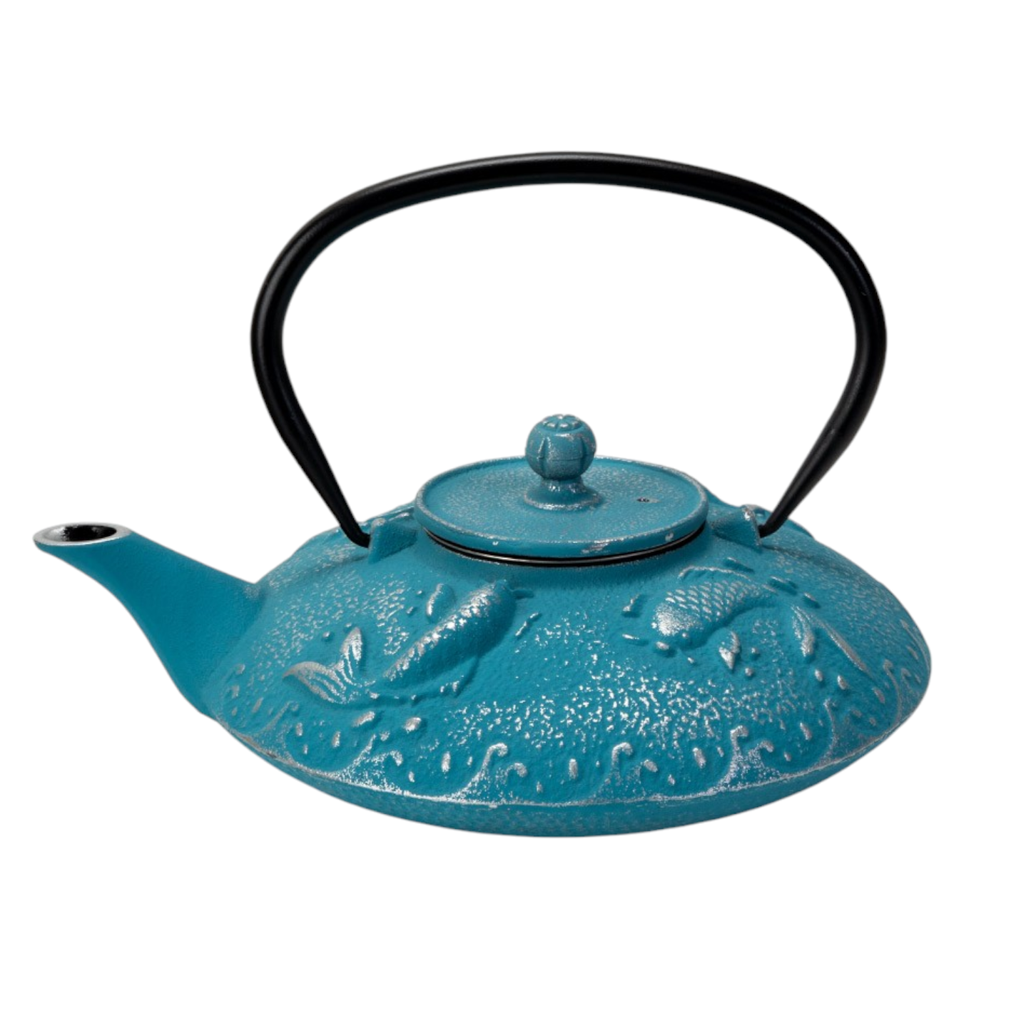 Cast Iron Tea Pot