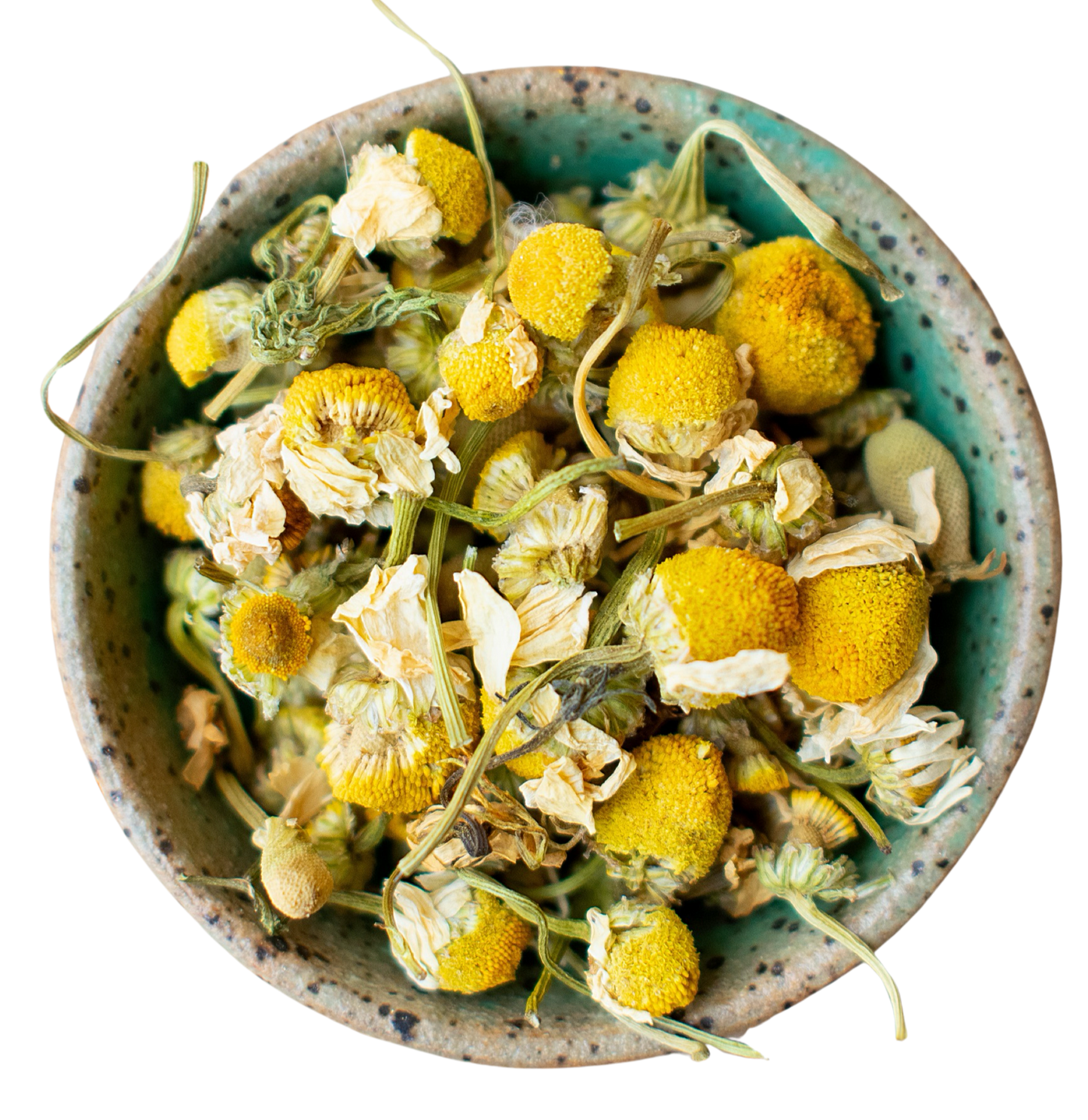 Egyptian Chamomile STH
